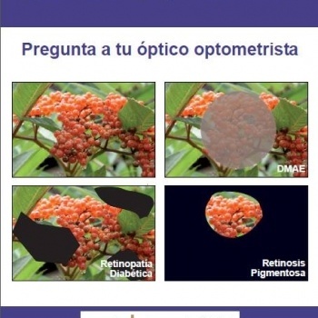 baja_vision_ourense.jpg